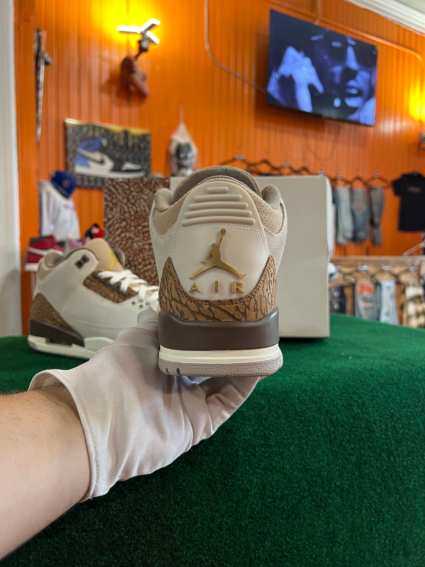 Jordan 3 (Palmino)