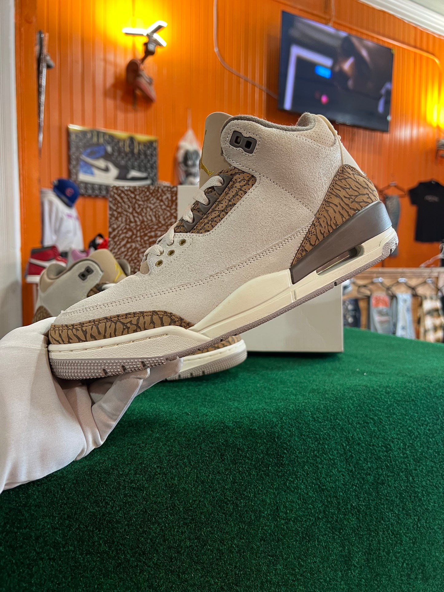 Jordan 3 (Palmino)