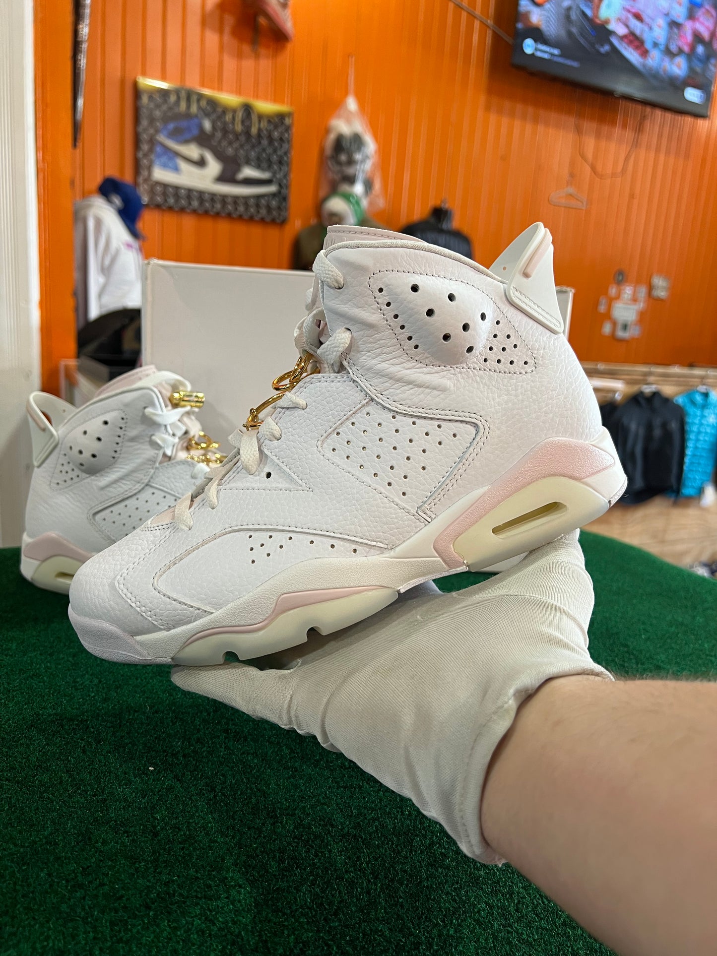 Jordan 6 (Gold Rings)