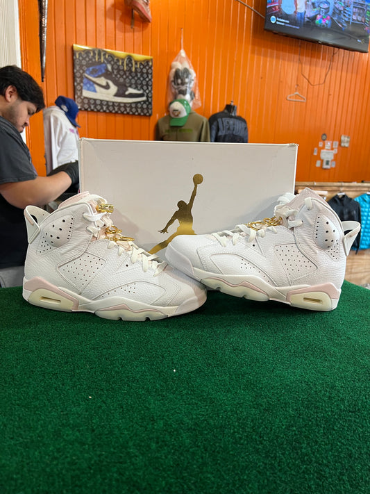 Jordan 6 (Gold Rings)