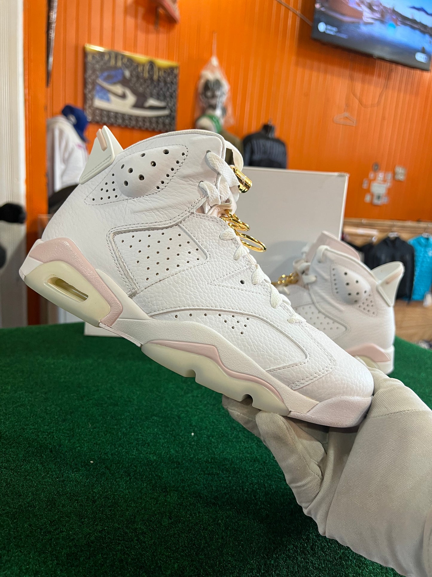 Jordan 6 (Gold Rings)