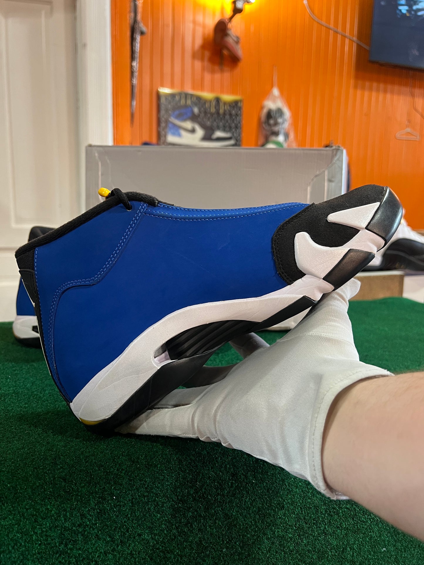 Jordan 14 (Laney)
