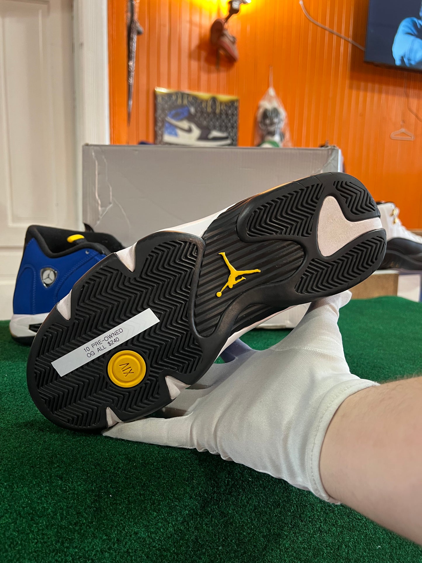 Jordan 14 (Laney)