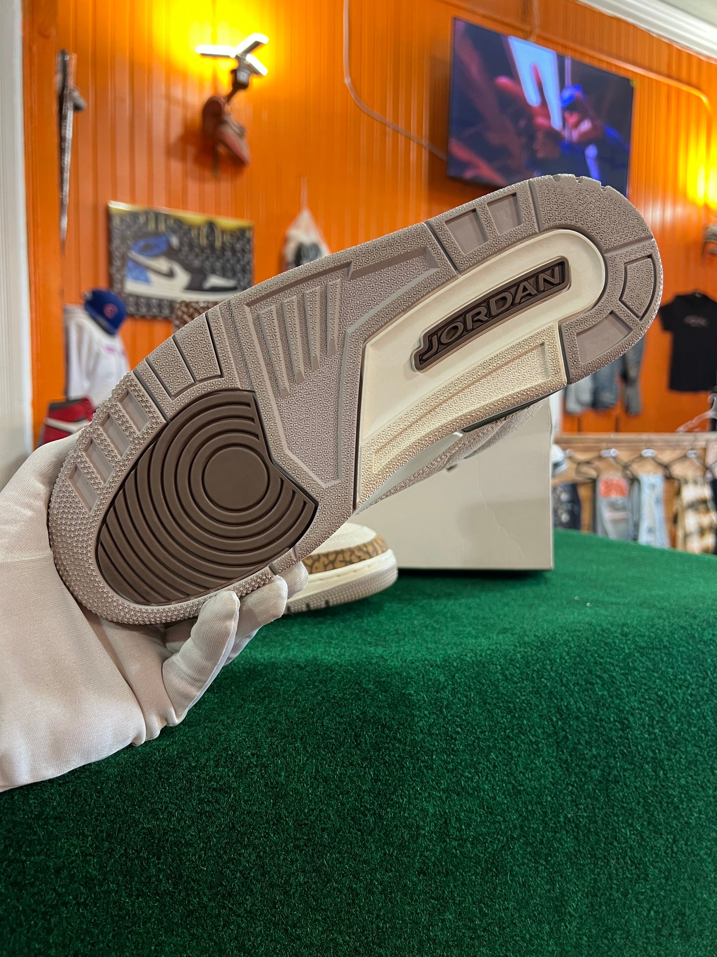Jordan 3 (Palmino)