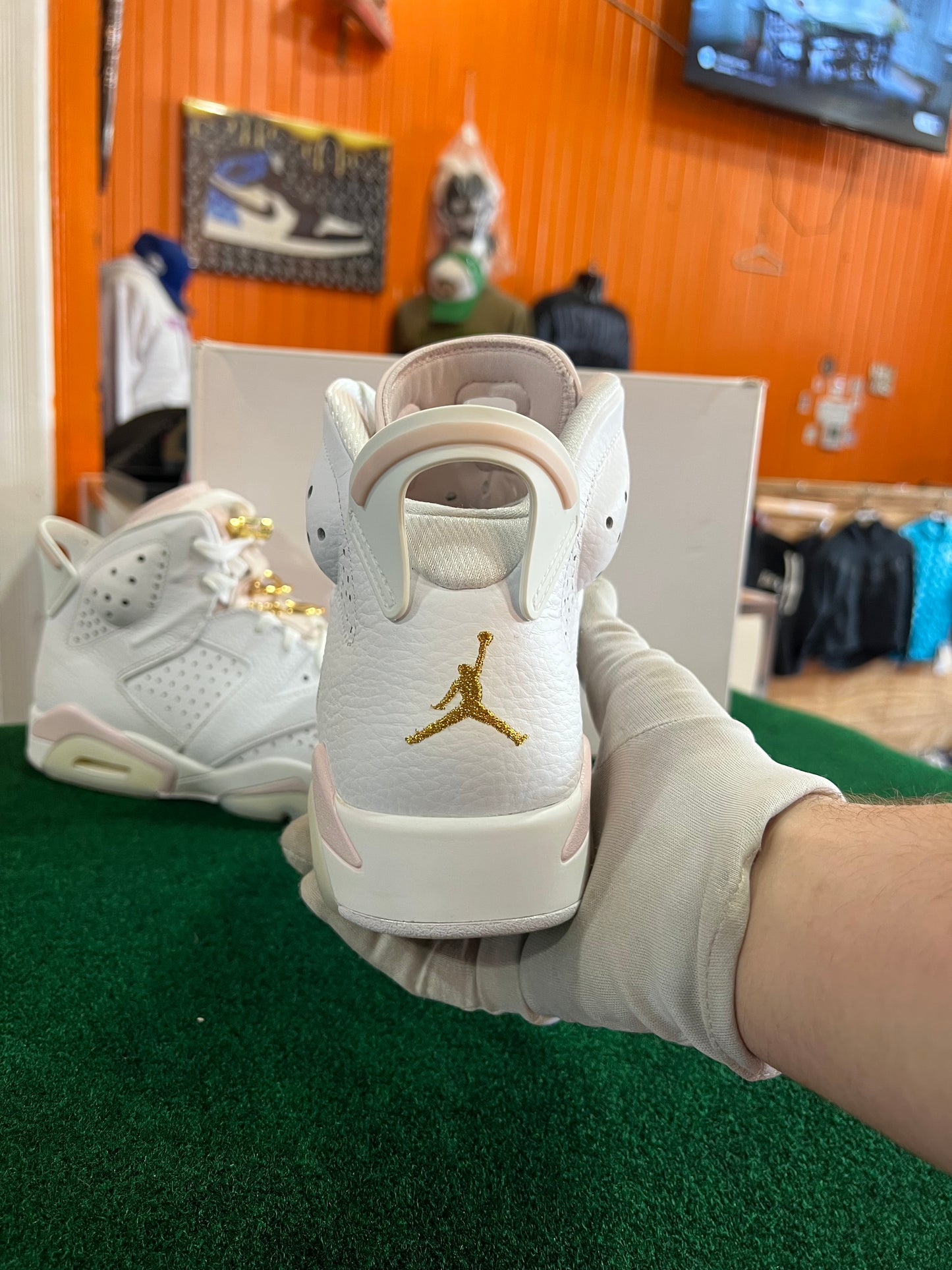 Jordan 6 (Gold Rings)
