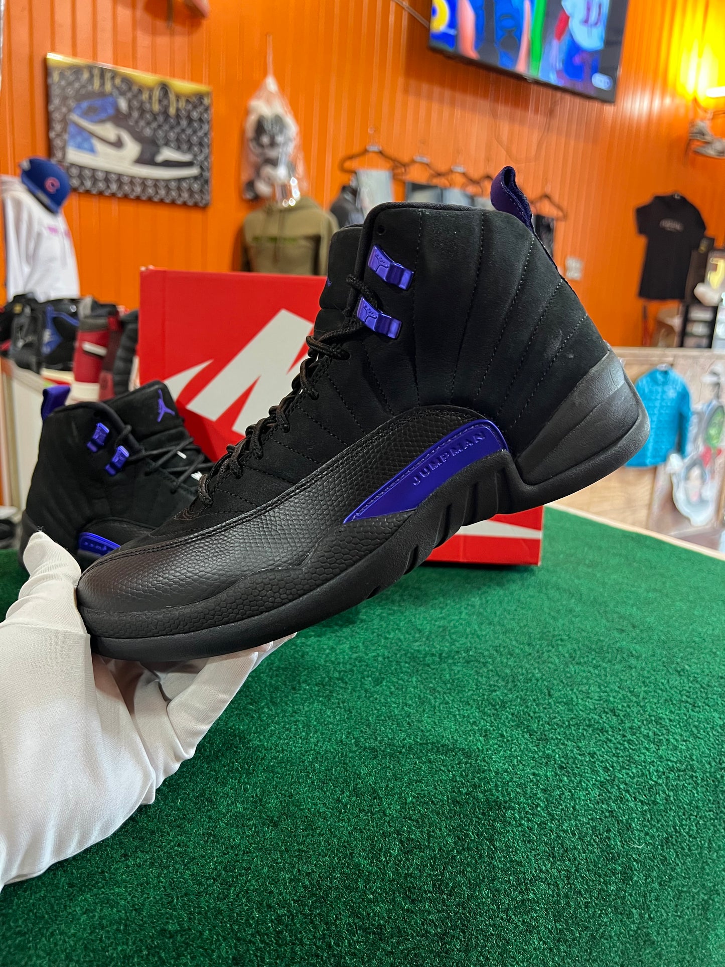 Jordan 12 (Concord)