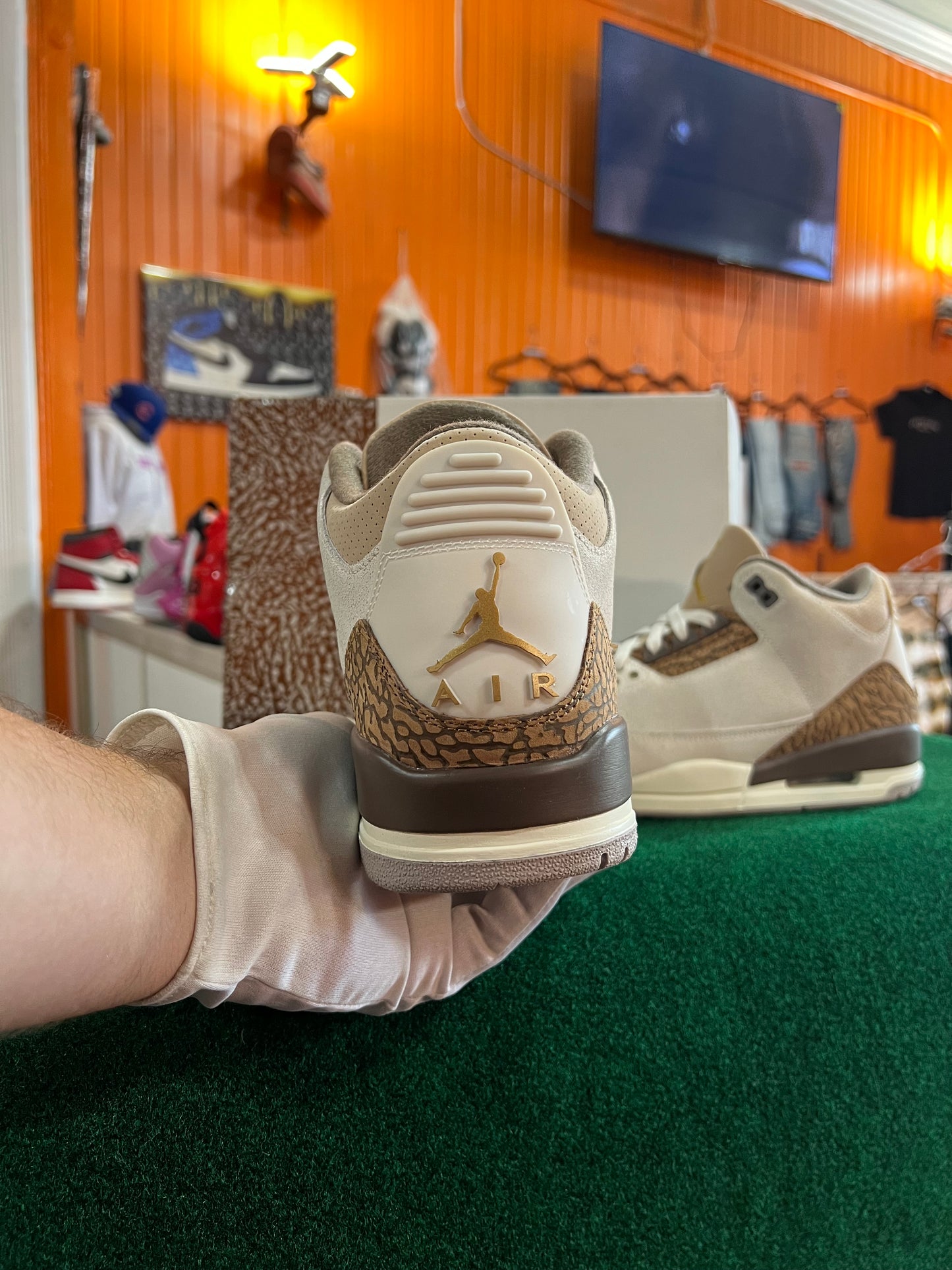Jordan 3 (Palmino)