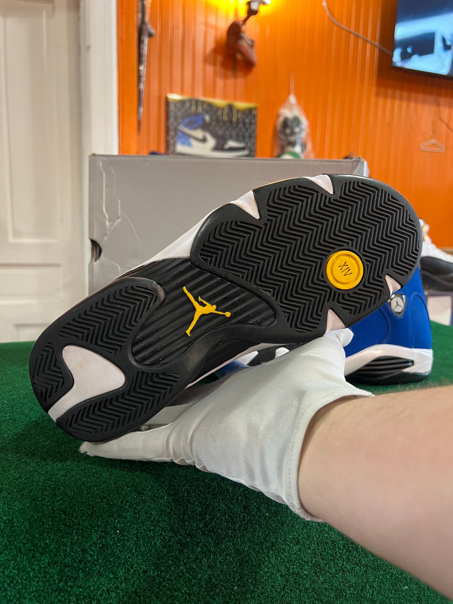 Jordan 14 (Laney)