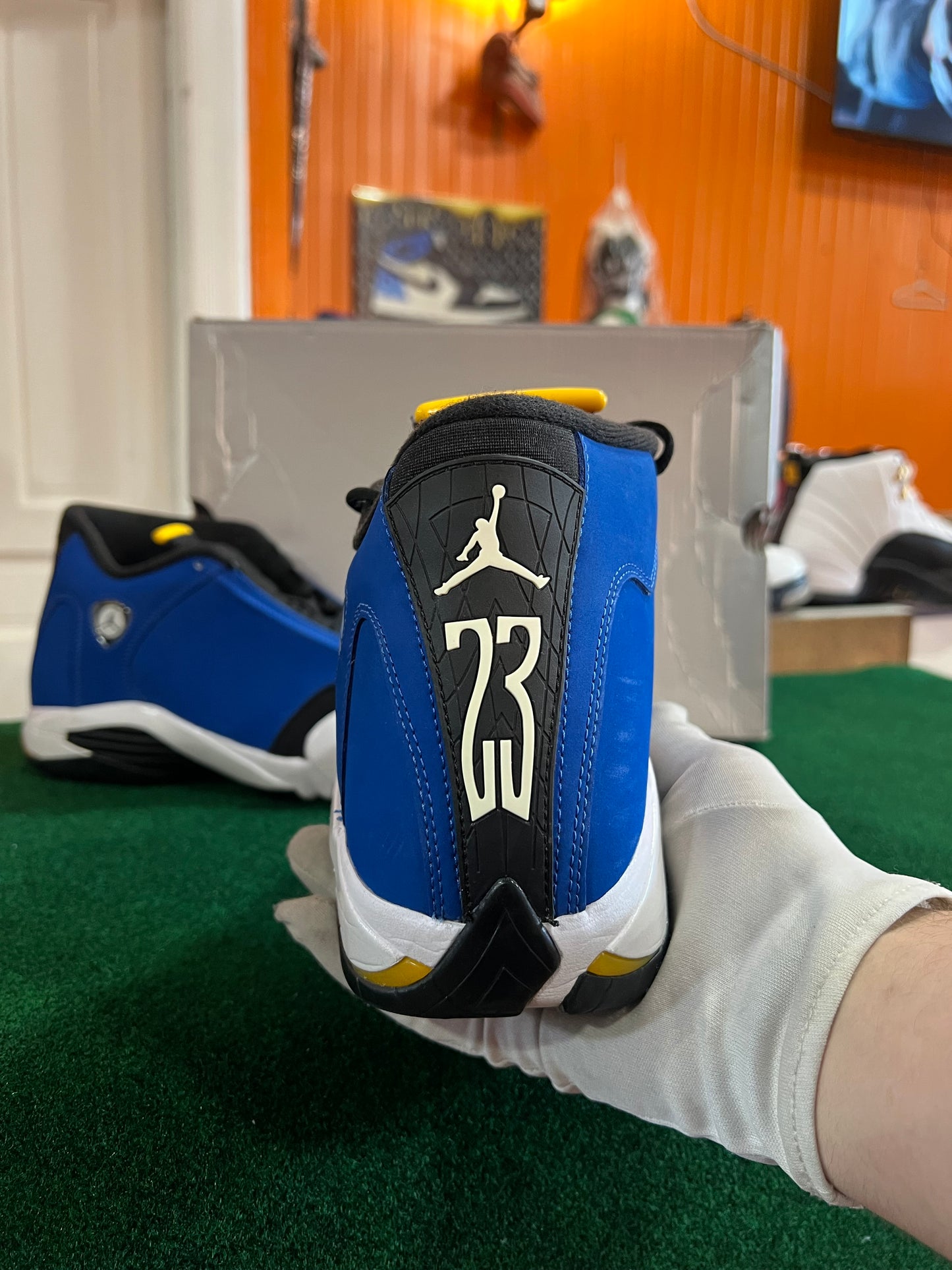 Jordan 14 (Laney)