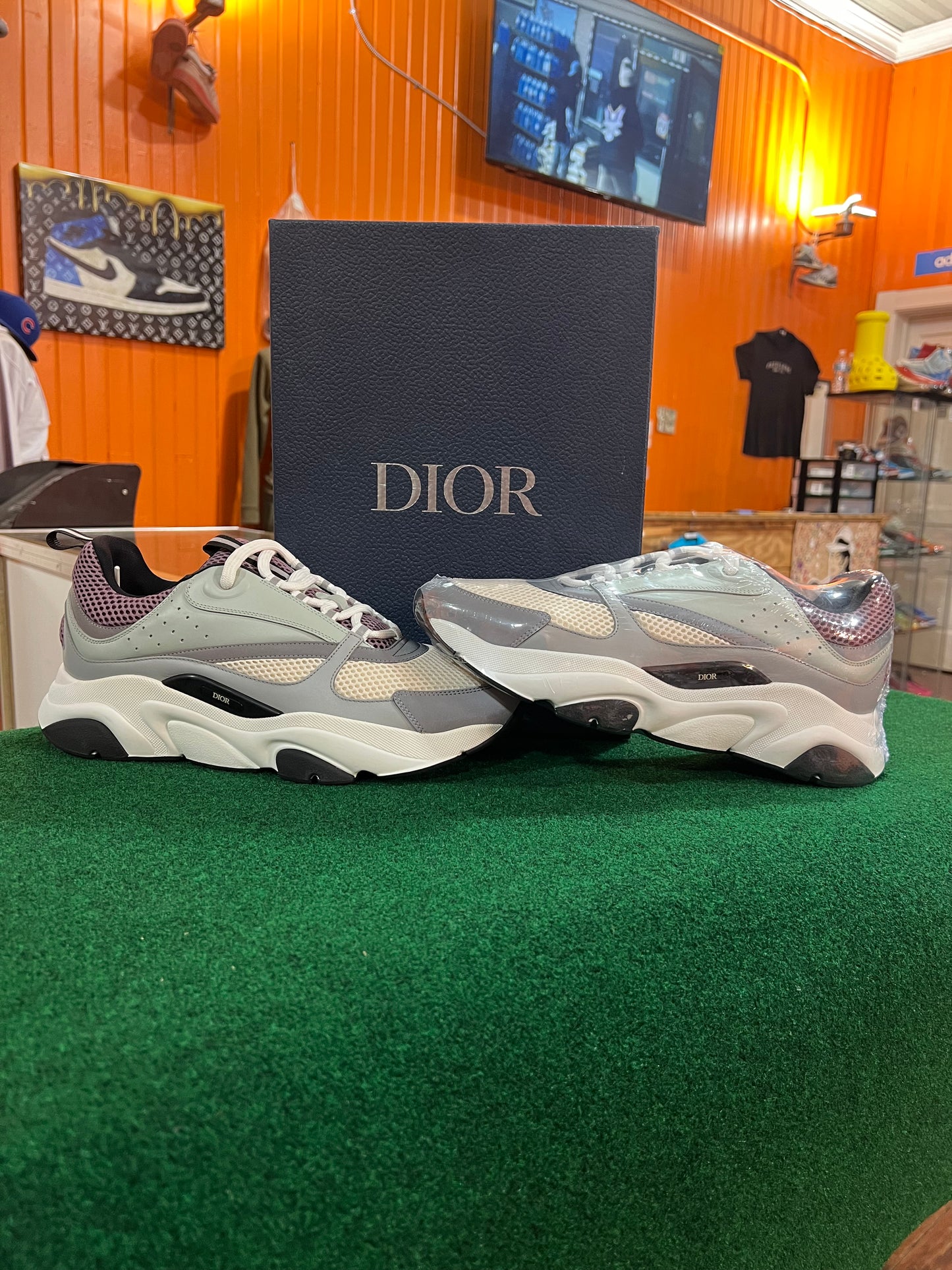 Dior B22