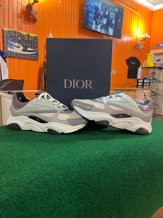 Dior B22