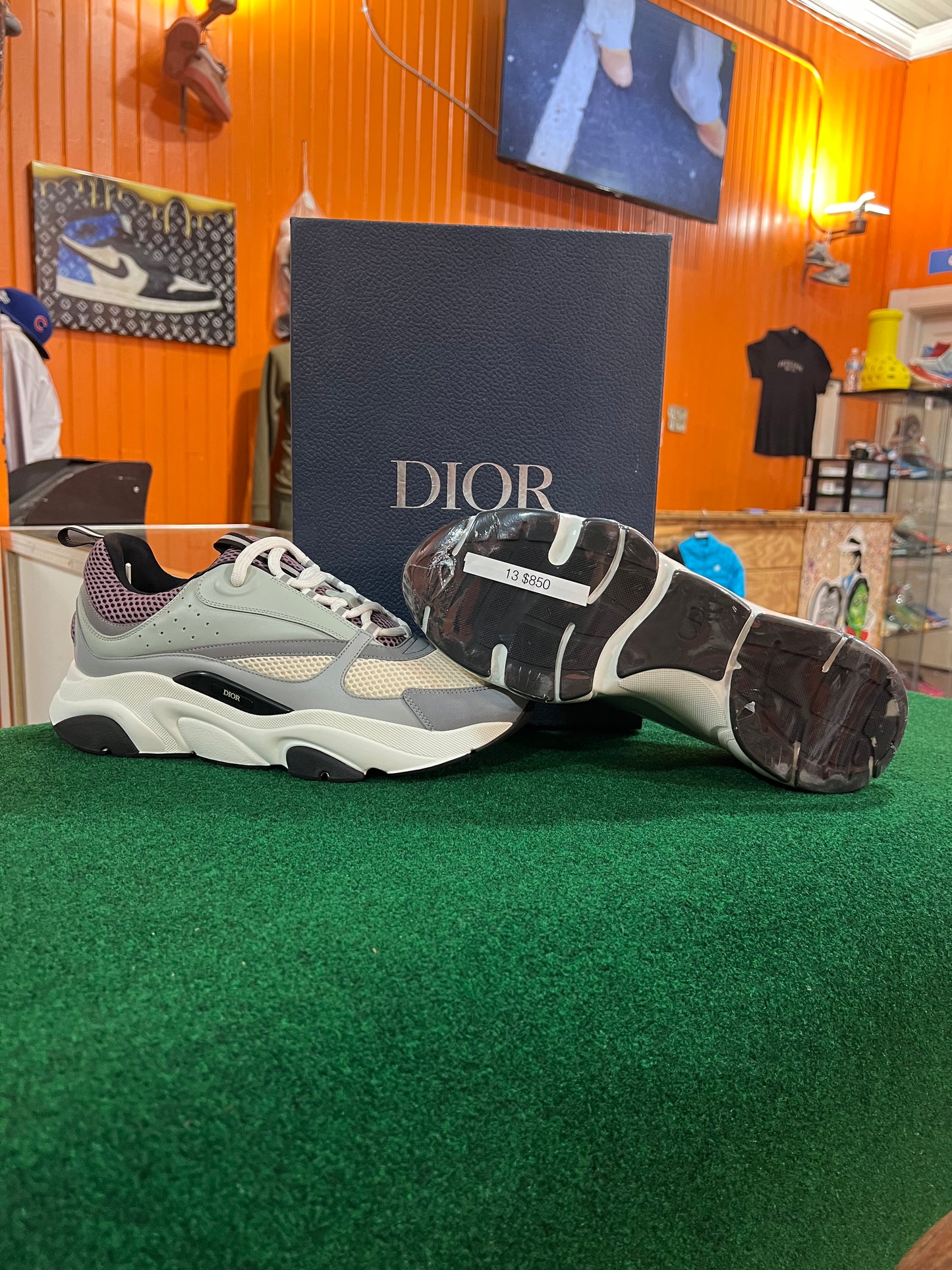 Dior B22
