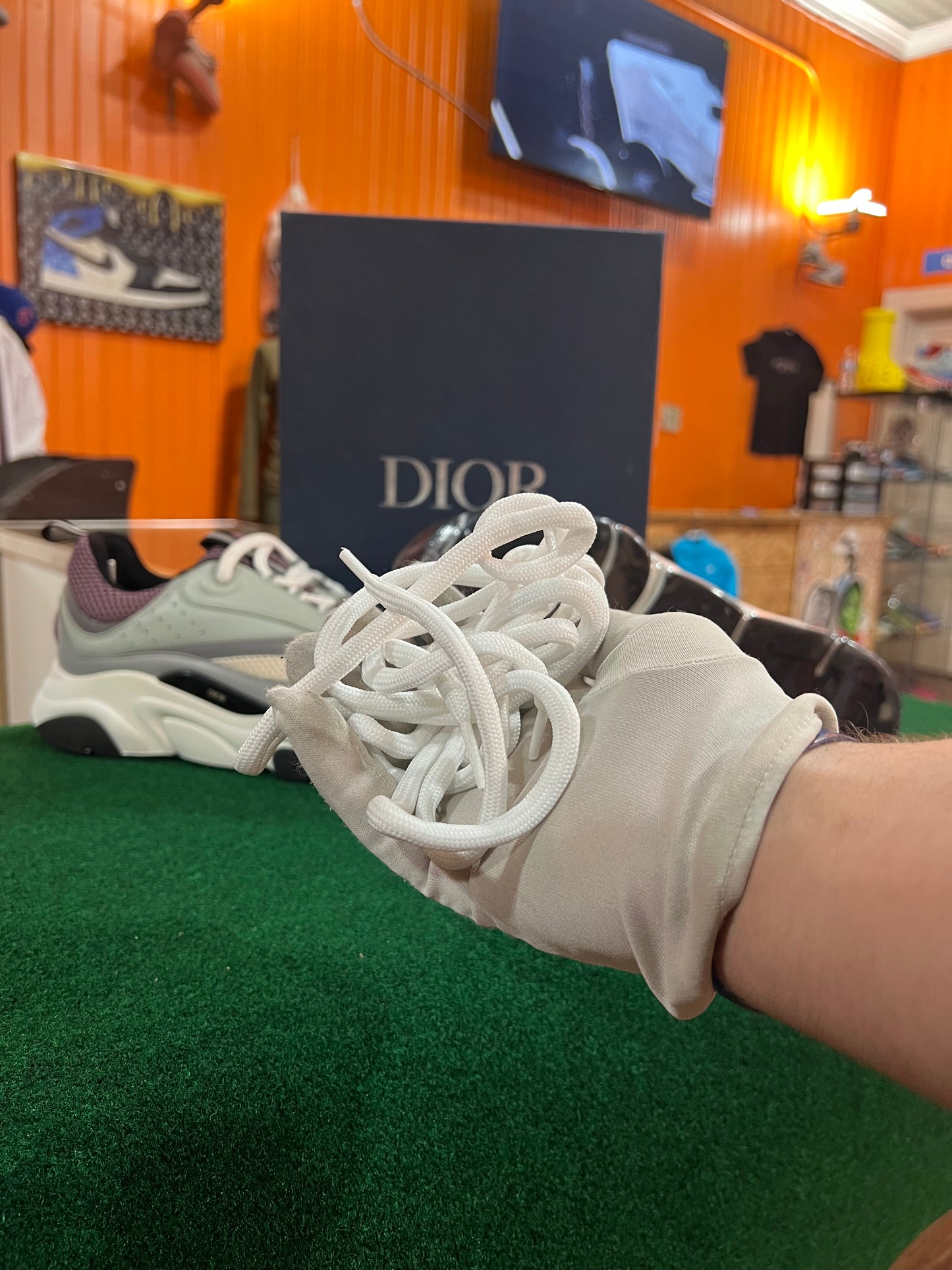 Dior B22